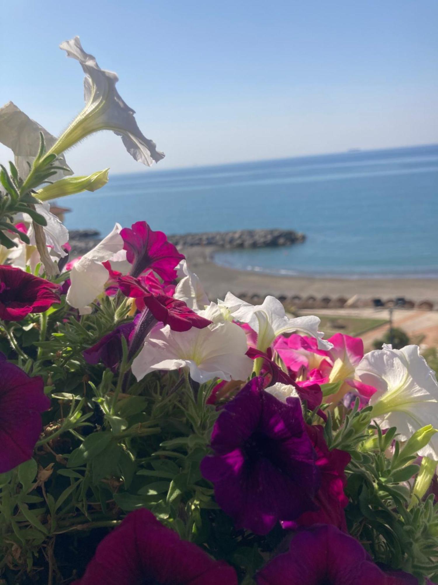 Appartamento Viva La Nonna Salerno Esterno foto